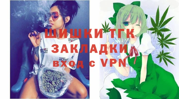 Альфа ПВП Верея