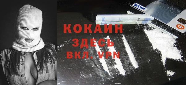 a pvp Бородино