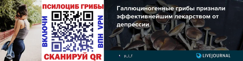 Галлюциногенные грибы Psilocybe Вельск